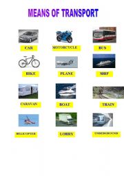 English worksheet: MEANS OF TRANSPORT