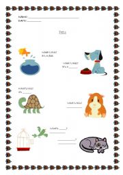 English worksheet: Pets