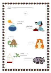 English Worksheet: Pets