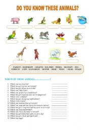 English Worksheet: DO YOU KNOW THESE ANIMALS?