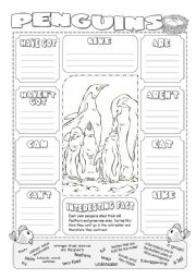 English Worksheet: Describing Penguins