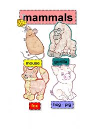 English Worksheet: mammals - flashcards #2 - mouse-gorilla-fox-hog-pig