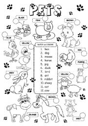 English Worksheet: Pets