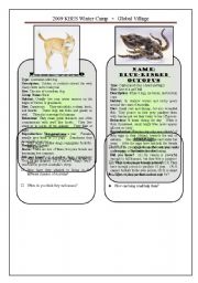 English Worksheet: Australian Animals - Adaptations 2/3