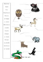 English worksheet: Zoo / animal worksheet