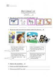 English Worksheet: animals test