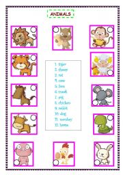 English Worksheet: animals