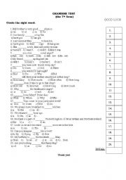 English Worksheet: Grammar and Vocabulary Test