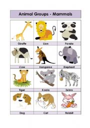 English Worksheet: Animal Groups-Mammals (1-5)