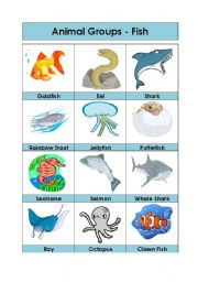 Animal Groups-Fish (3/5)