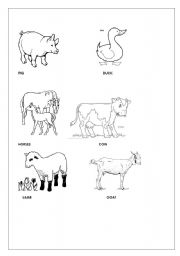 English worksheet: Coloring faarm animals