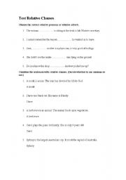 English worksheet: Relative Clauses Test