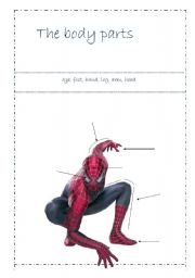 English Worksheet: Spiderman - body parts