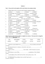 English worksheet: Test your Vocabulary