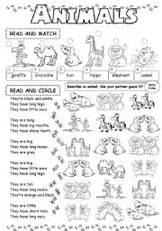 English Worksheet: Animals