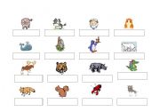 English worksheet: Animals