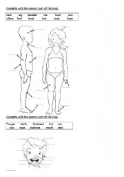 English Worksheet: Body and face
