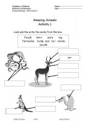 English Worksheet: Animals Parts of the body