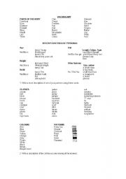 English Worksheet: Describing People