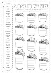 English Worksheet: Daily Routines