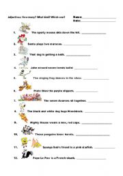 English worksheet: Adjectives:How many? Which one? What kind?