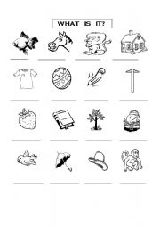 English Worksheet: WHAT IS IT?