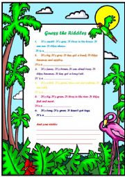 English Worksheet: Animal Riddles