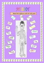 English Worksheet: SKELETON AND THE BODY PARTS 