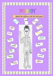 English worksheet: SKELETON AND THE BODY PARTS 