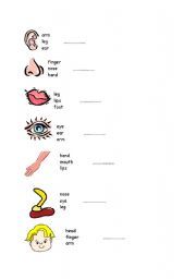 English Worksheet: body parts