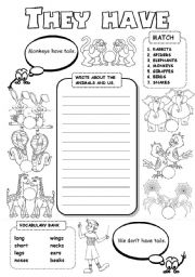 English Worksheet: They have