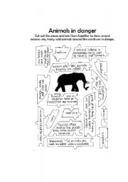 animals in danger