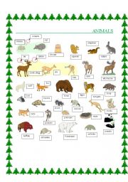 English worksheet: Animals