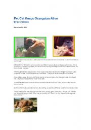 English worksheet: Pet cat keeps Oangutan alive