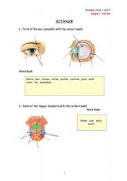English Worksheet: REVIEW YOUR VOCABULARY ABOUT SENSES, BONES AND MUSCLES