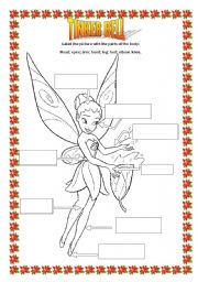 TINKER BELL, parts of the body