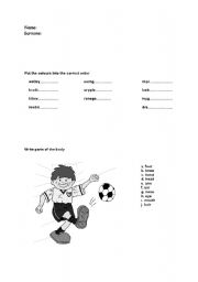 English worksheet: parts of the body and colours