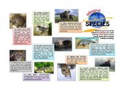 English Worksheet: Endangered Species