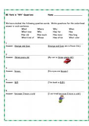 English worksheet: Practice Present Tense WH Questions
