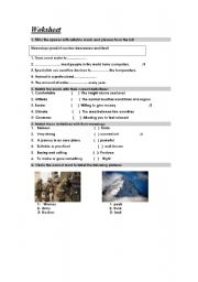 English Worksheet: vocabulary exercises