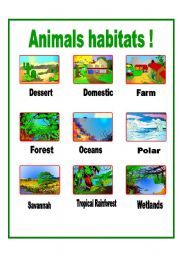 Animals habitats