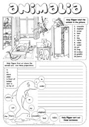 English Worksheet: Animalia