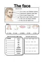 English Worksheet: The face...