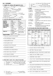 English Worksheet: grammar and vocabulary activity