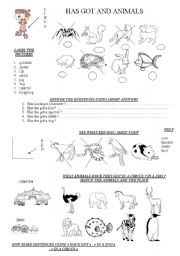 English Worksheet: HAVE GOT / HAS GOT AND ANIMALS
