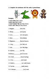 English Worksheet: Simple Present Tense