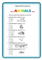 English Worksheet: Animals, identification