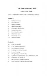 English worksheet: Emotions and Feelings