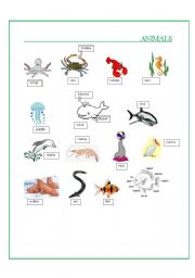 English worksheet: Animals Part V