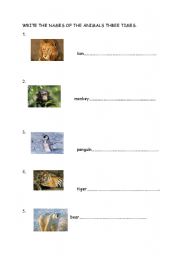 English worksheet: ANIMALS